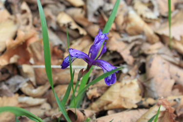 Similar image 1108557