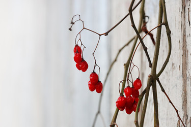 Similar image 1108724