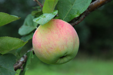 Similar image 1108725