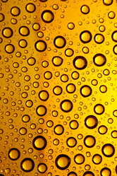 Similar image 1108769