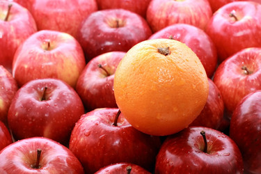 Similar image 1108828