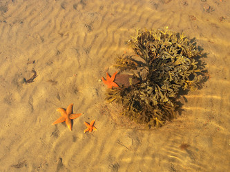 Similar image 1108926