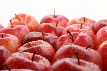 Similar image 1108983