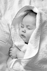 Similar image 1108999