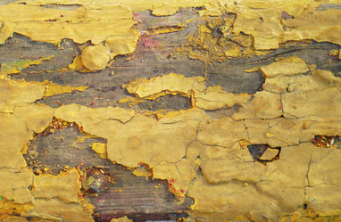 Similar image 1109012