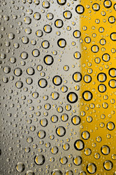 Similar image 1109021