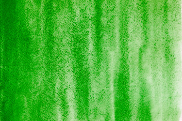 Similar image 1109029