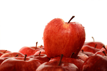 Similar image 1109065