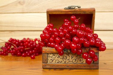 Similar image 1109087