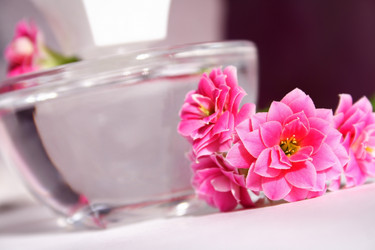 Similar image 1109094