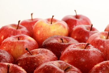 Similar image 1109097