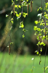 Similar image 1109107