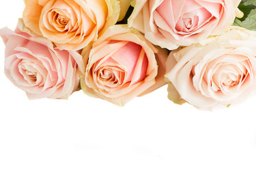 Similar image 1109108