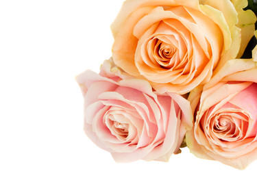 Similar image 1109122