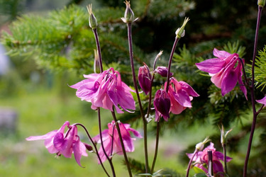 Similar image 1109131