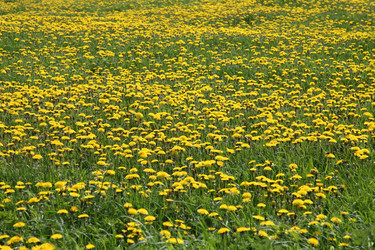 Similar image 1109132