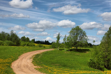 Similar image 1109133