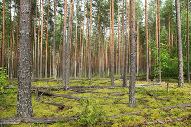 Similar image 1109136