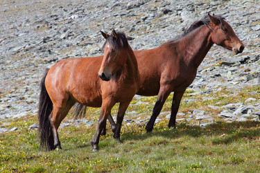 Similar image 1109137