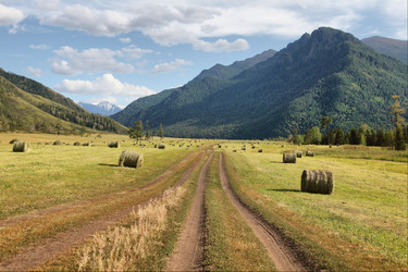 Similar image 1109149