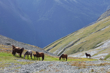 Similar image 1109150