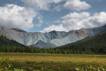 Similar image 1109151