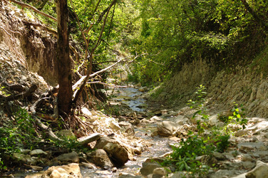 Similar image 1109290