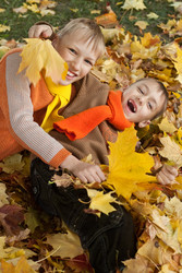 Similar image 1109435