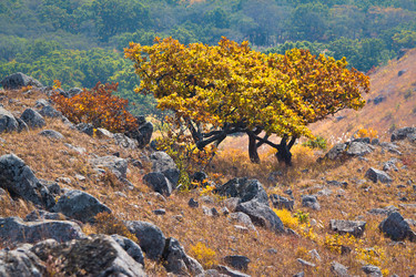 Similar image 1109780