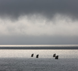 Similar image 1109781