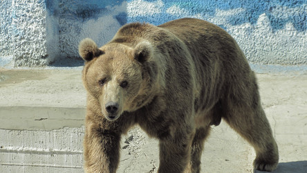 Similar image 1109791