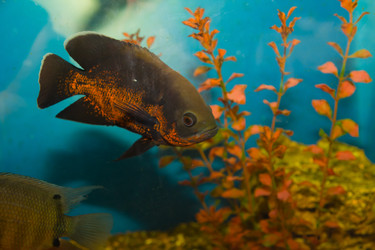 Similar image 1109799