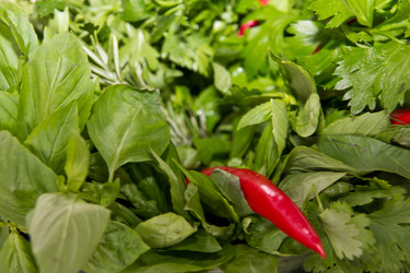 Similar image 1109803