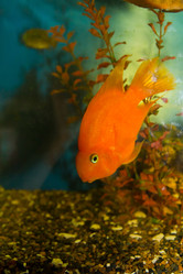 Similar image 1109807