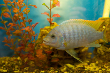 Similar image 1109813