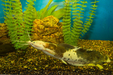 Similar image 1109822