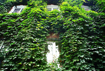 Similar image 1109952