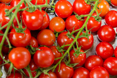 Similar image 1109955