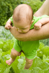 Similar image 1110034