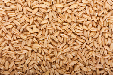 Similar image 1110114