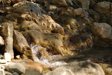 Similar image 1110129