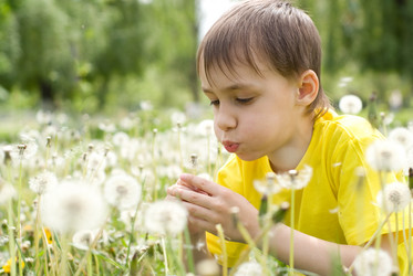 Similar image 1110176