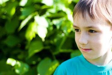 Similar image 1110189