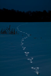 Similar image 1110214