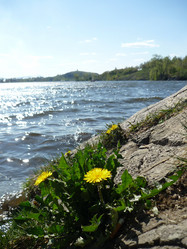 Similar image 1110273