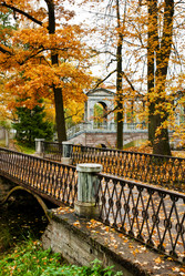 Similar image 1110362