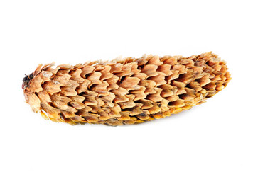 Similar image 1110410