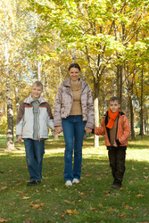 Similar image 1110482