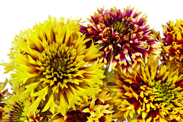 Similar image 1110490