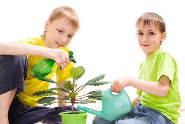 Similar image 1110586